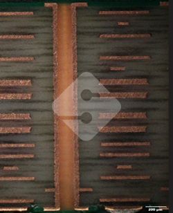 中国·best365英国在线体育(股份)有限公司-Official Platform